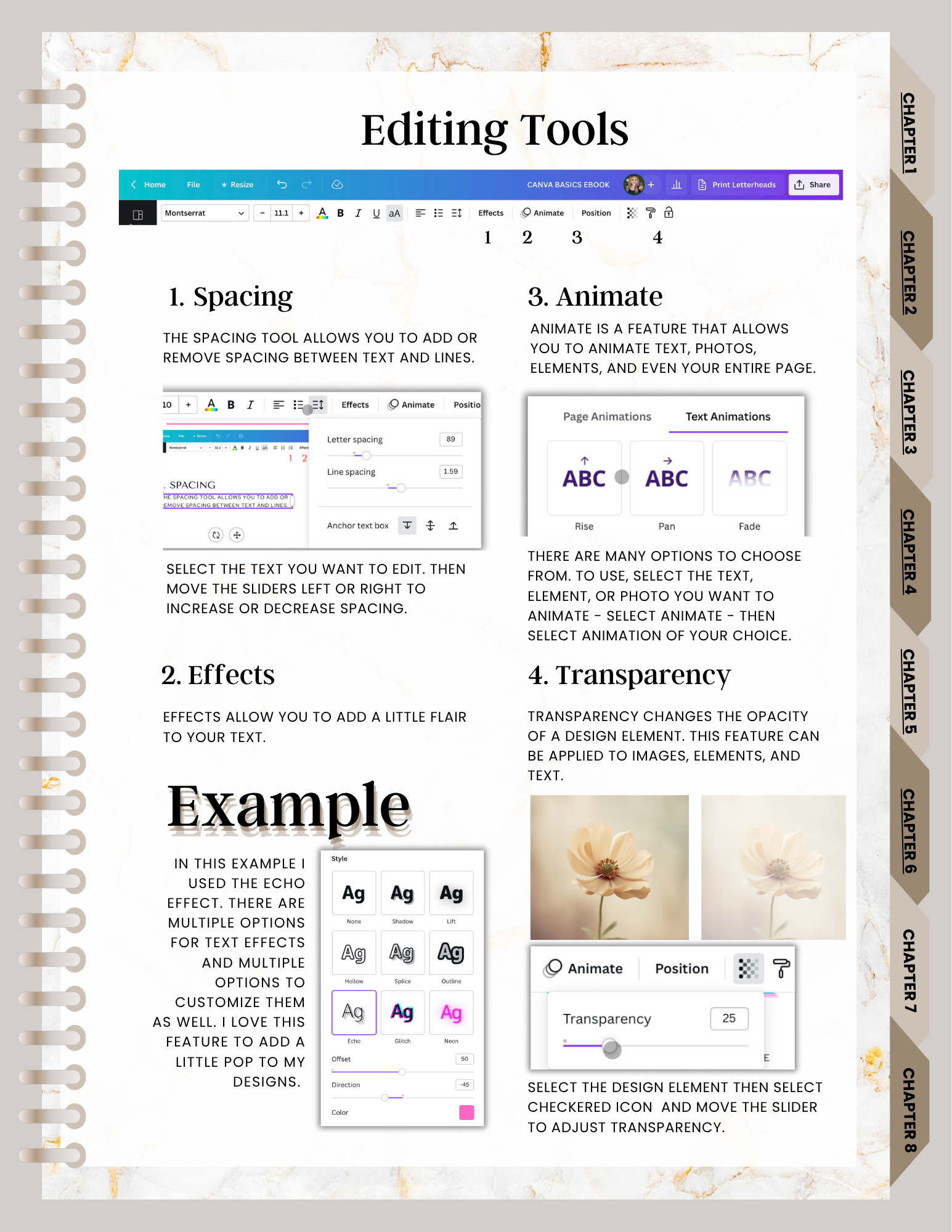 Preview image from the Canva Crash Course showing beginner text and layout tools